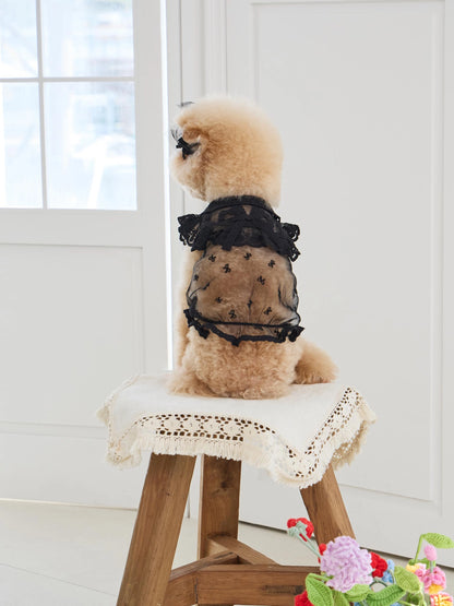 Sweetie Bebe Dress 全3色