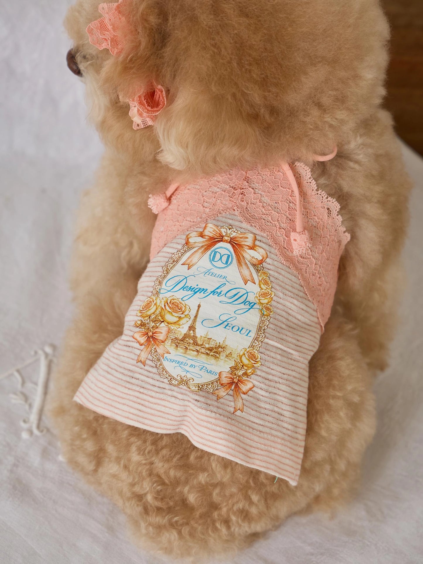 Petit Camisole Top 全3色