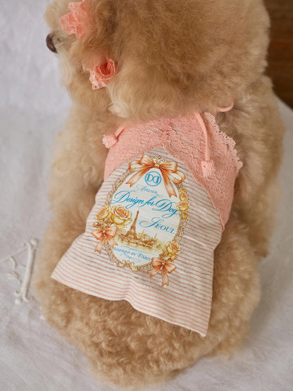 Petit Camisole Top 全3色
