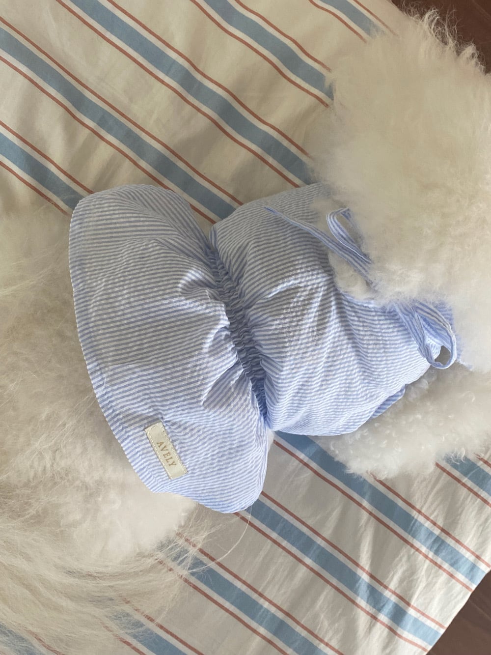 即納 Blue Candy One-piece
