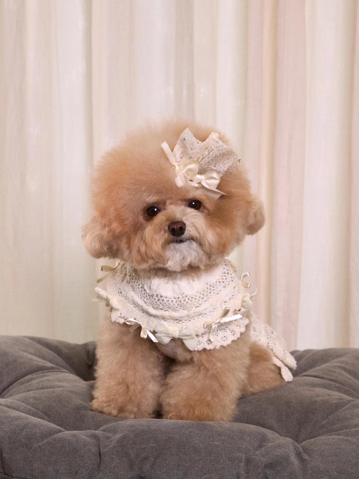 Lace Garden Dress 全3色