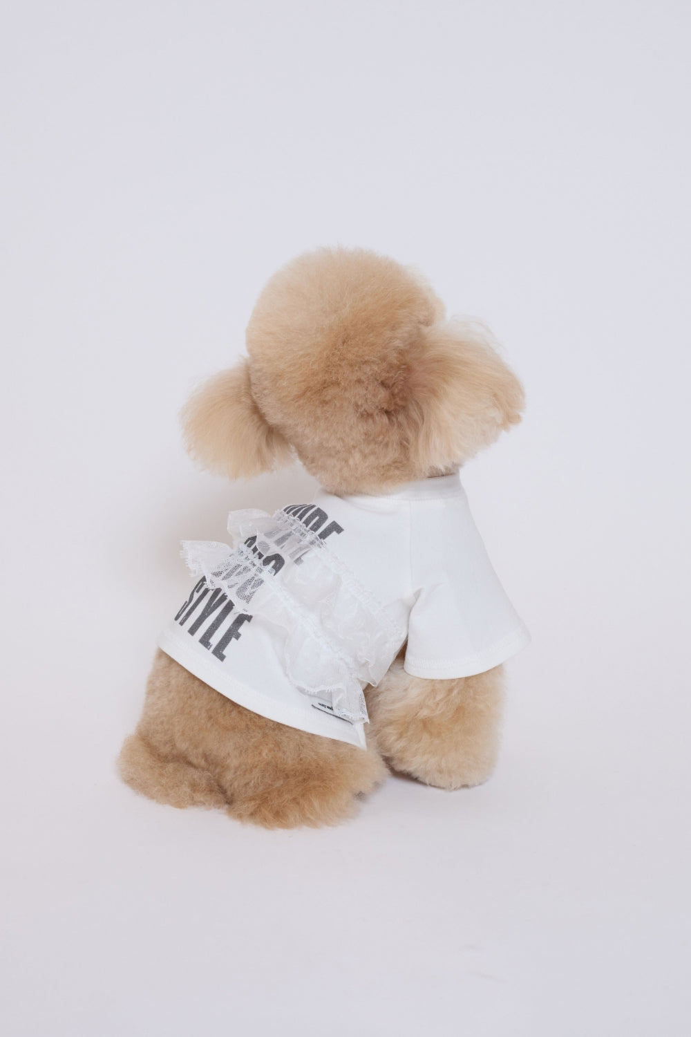 Pure Dog Lace Top ホワイト