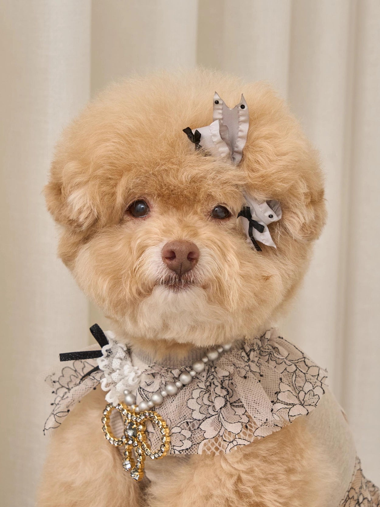 Autumn Breeze Hairpin 全3色