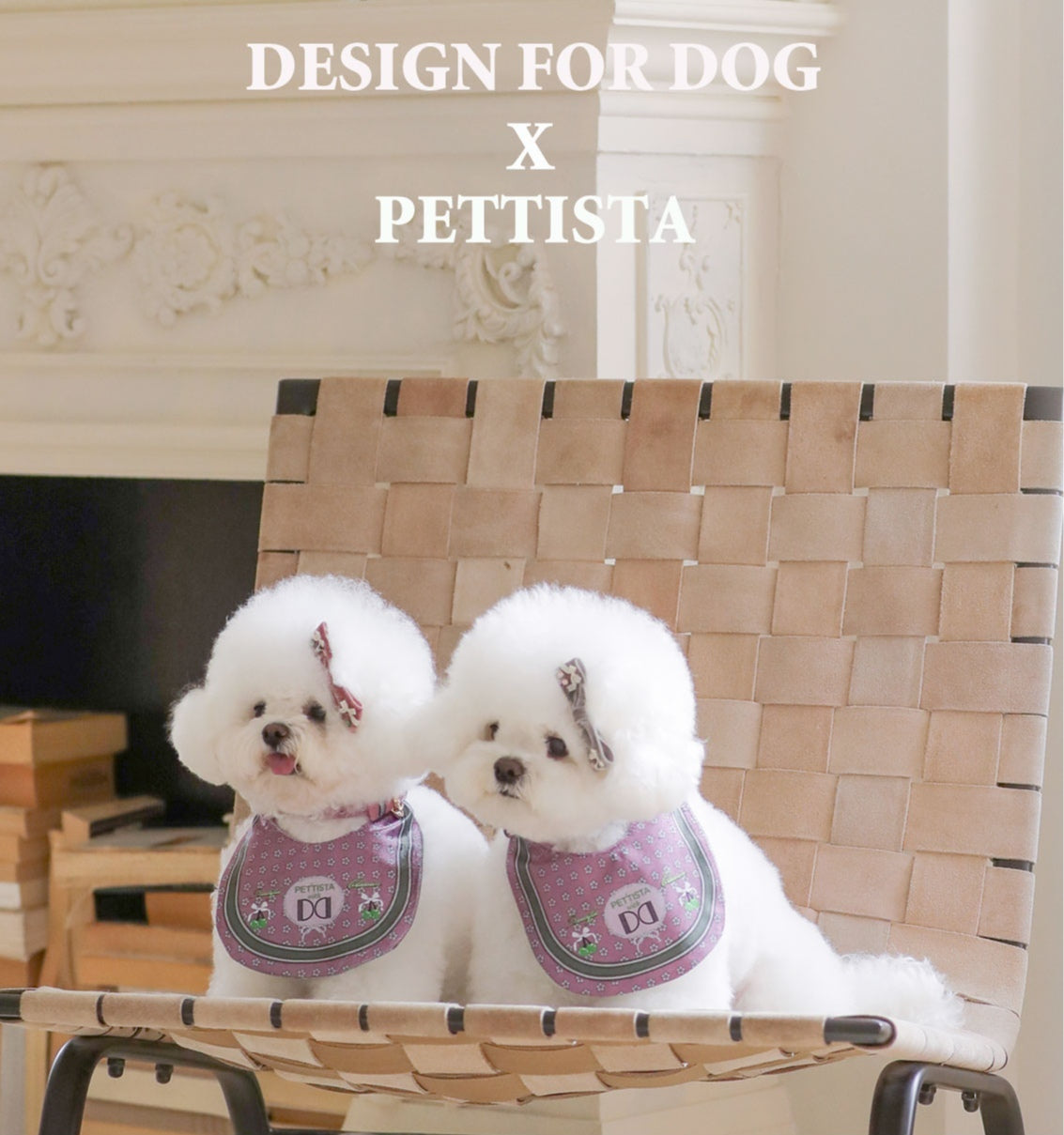 ［Design For Dog x PETTISTA］Velvet Cape