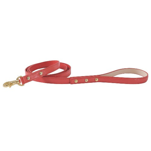 Bloom Leash タンゴオレンジ