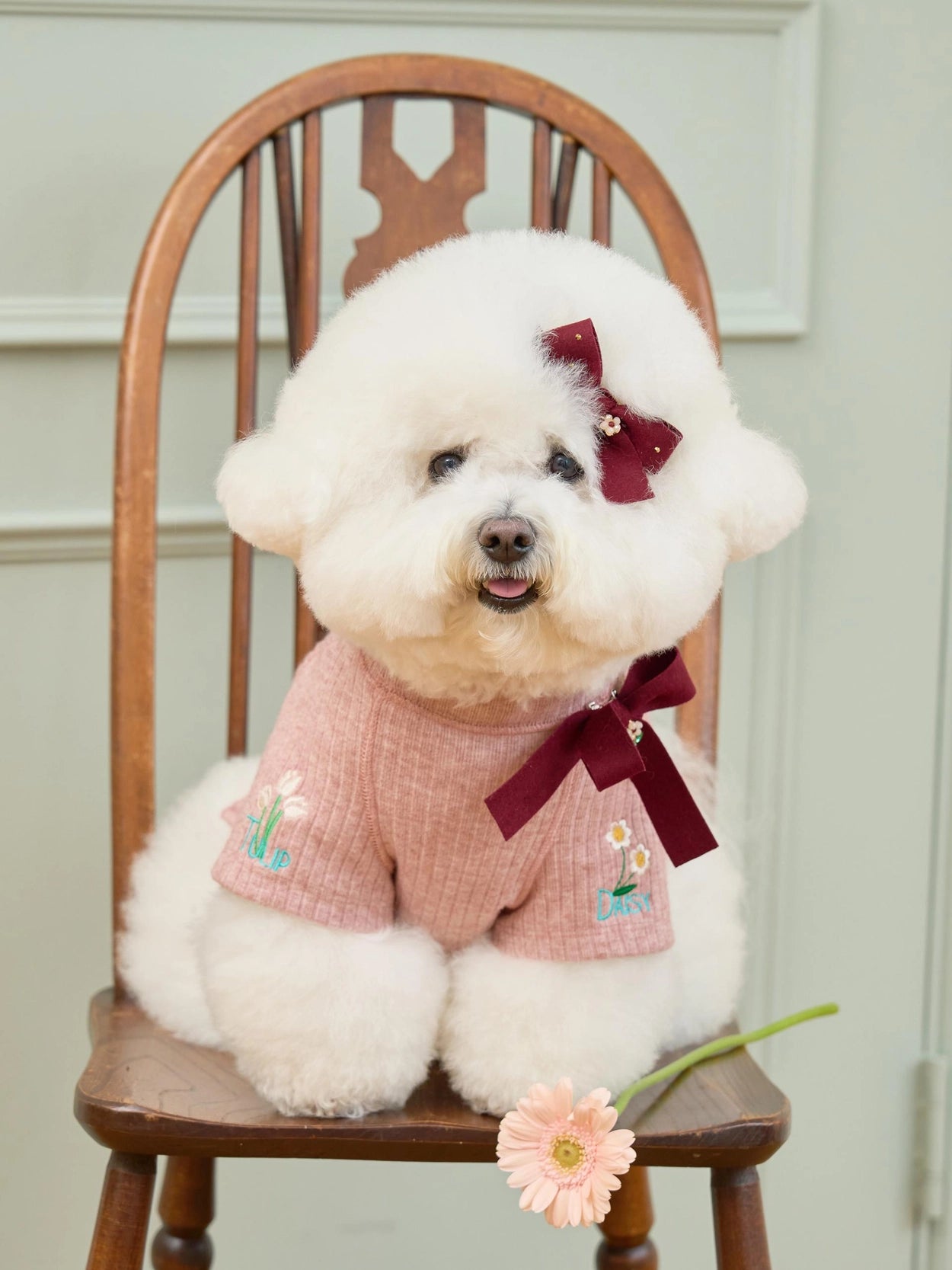 即納 Tiny Garden Turtleneck 全3色