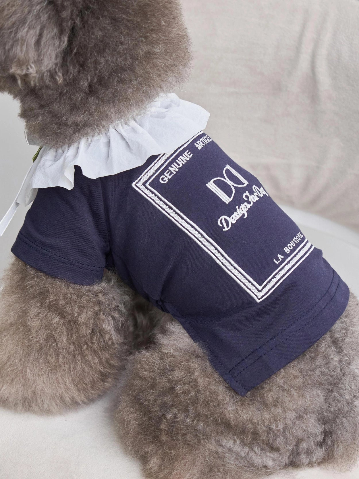 即納 Atelier T-shirt 全3色