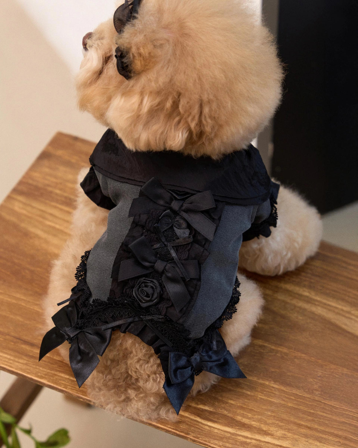 Plié Belle Blouse 全3色