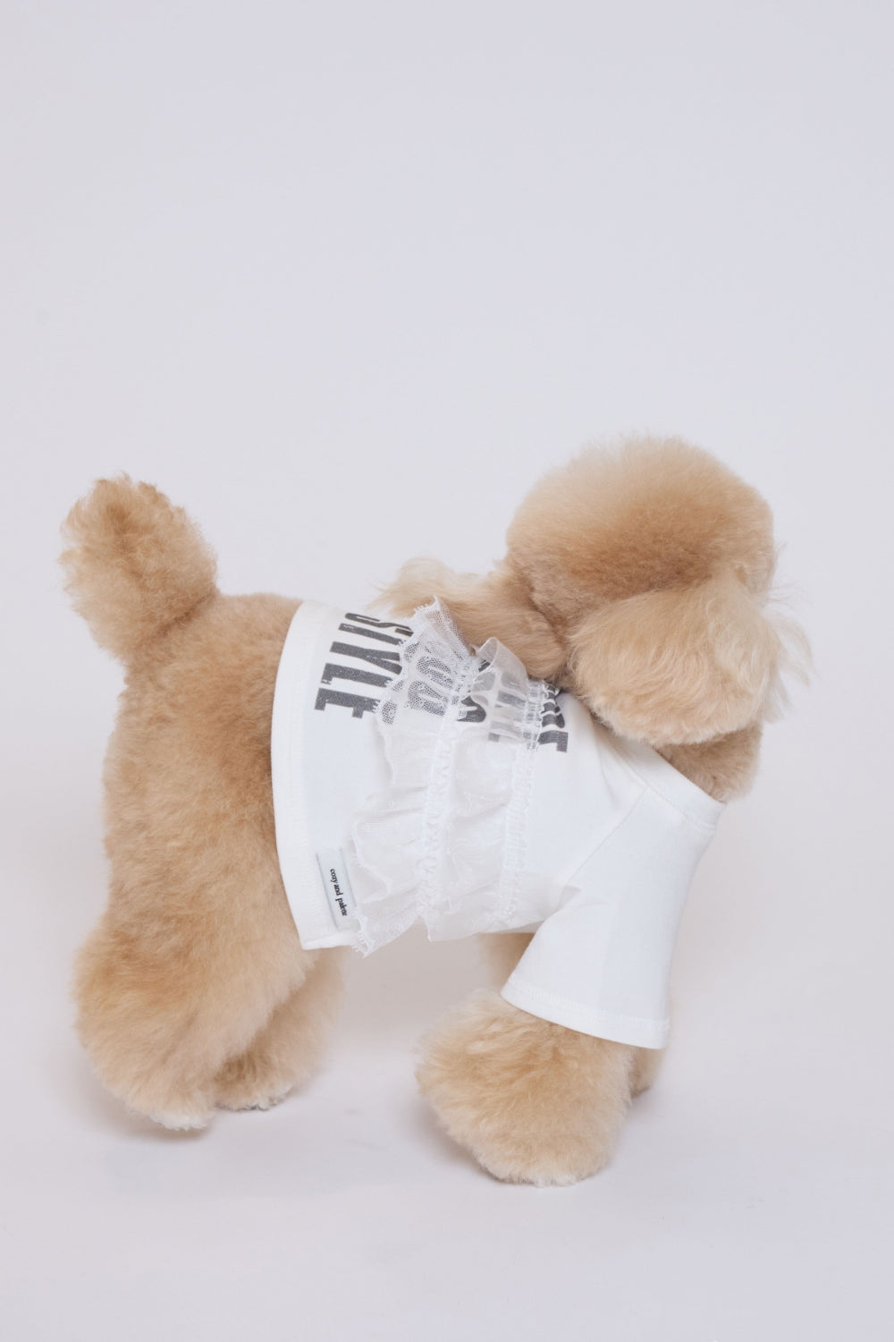 Pure Dog Lace Top ホワイト