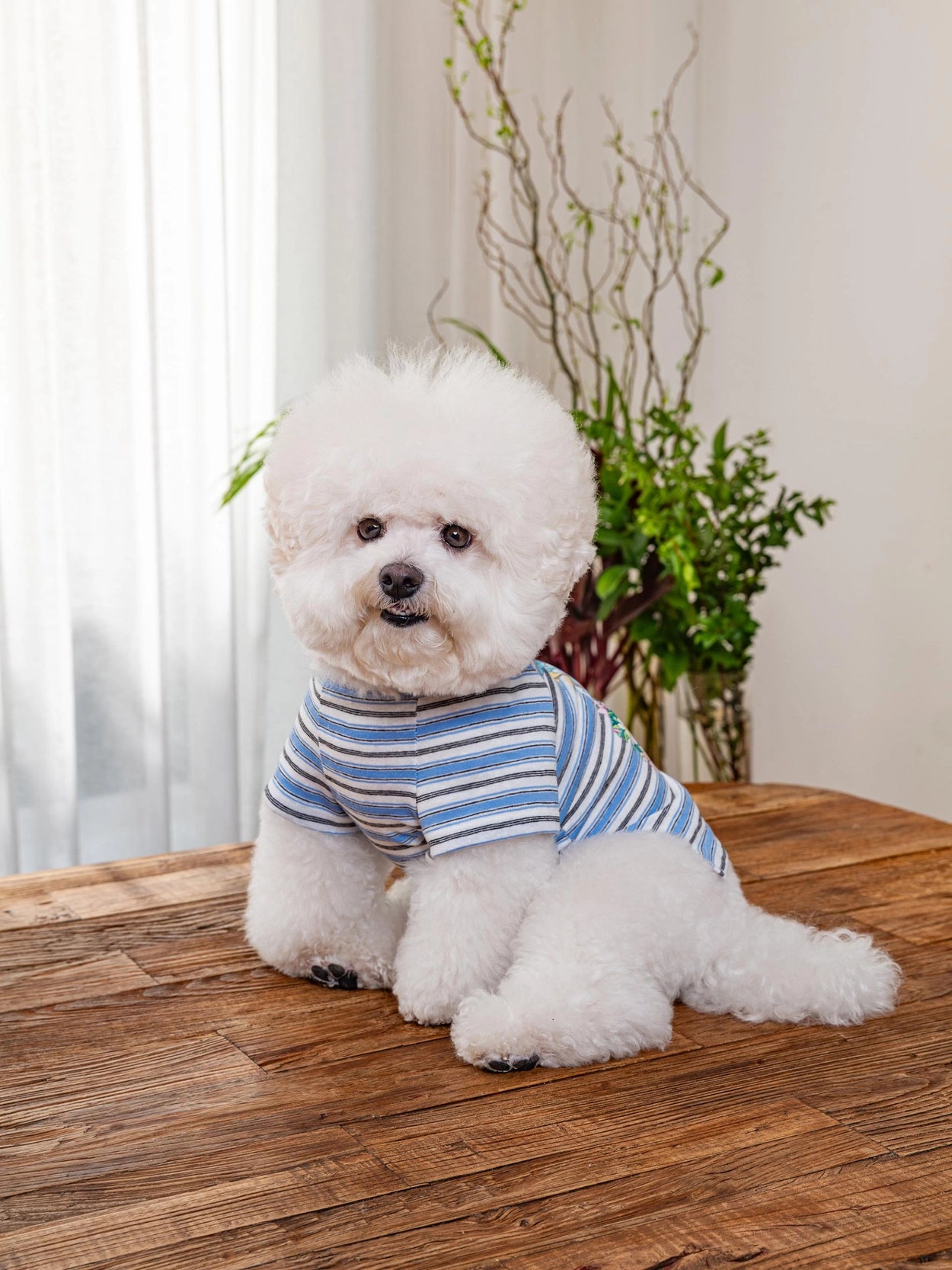 即納 Enjoy Wave T-Shirt 全3色