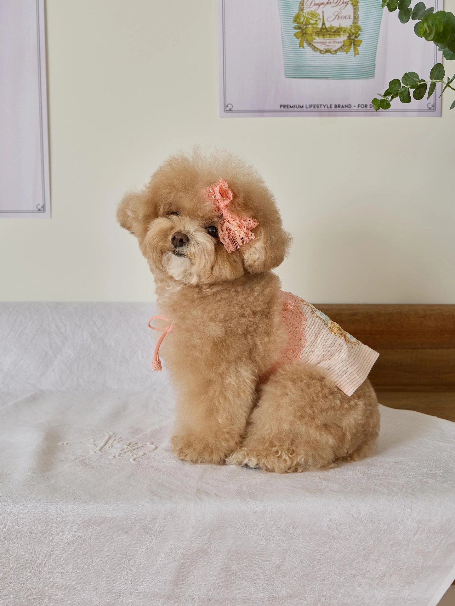 Petit Camisole Hairpin 全3色
