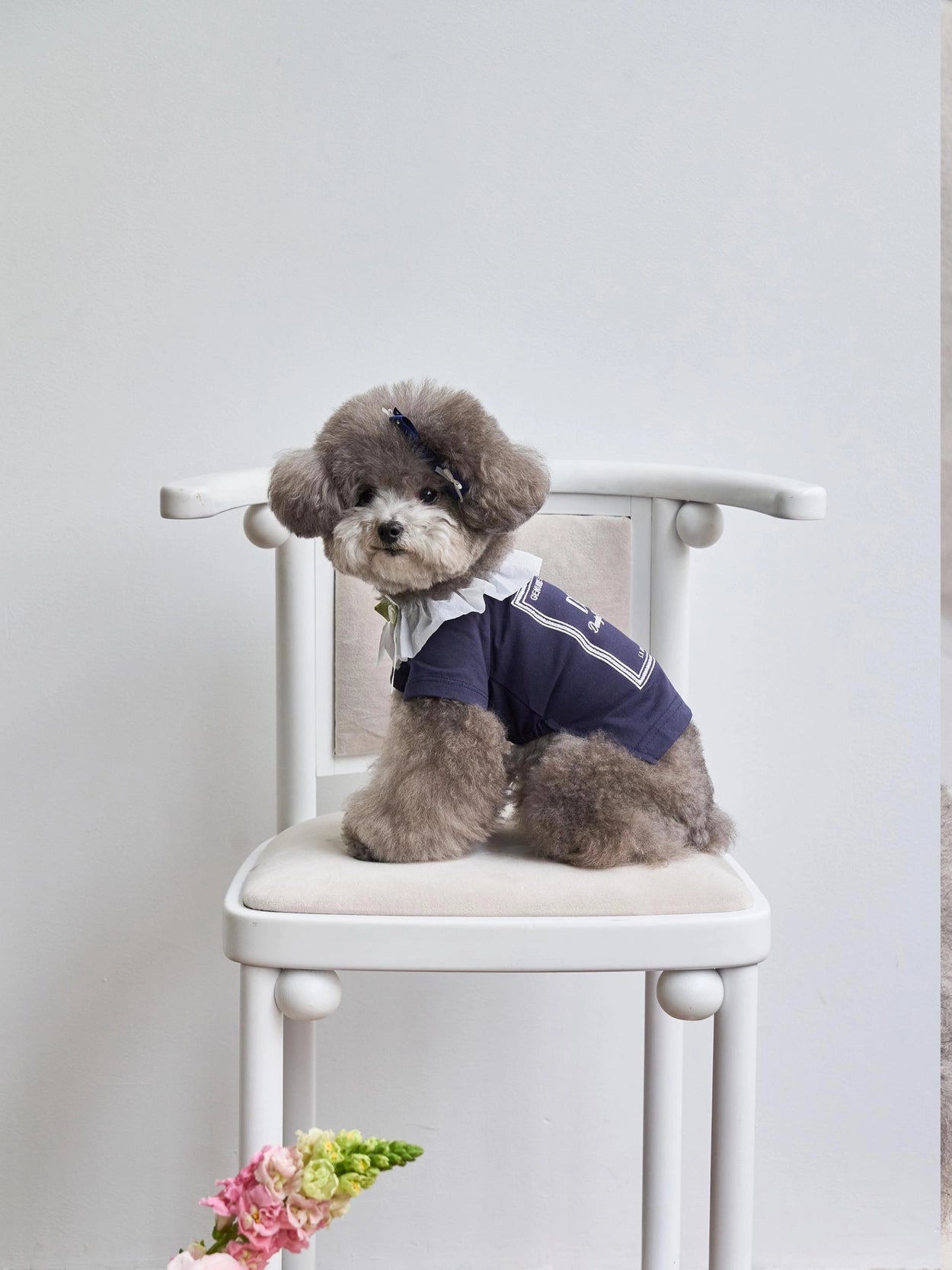 即納 Atelier T-shirt 全3色