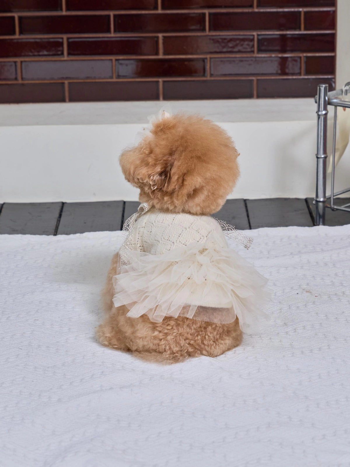 Patissier Tutu Dress 全3色