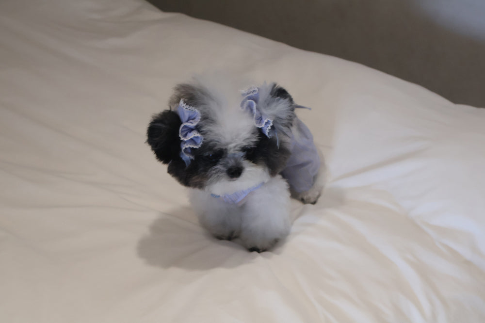 【PRE-ORDER】Blue Scrunchie