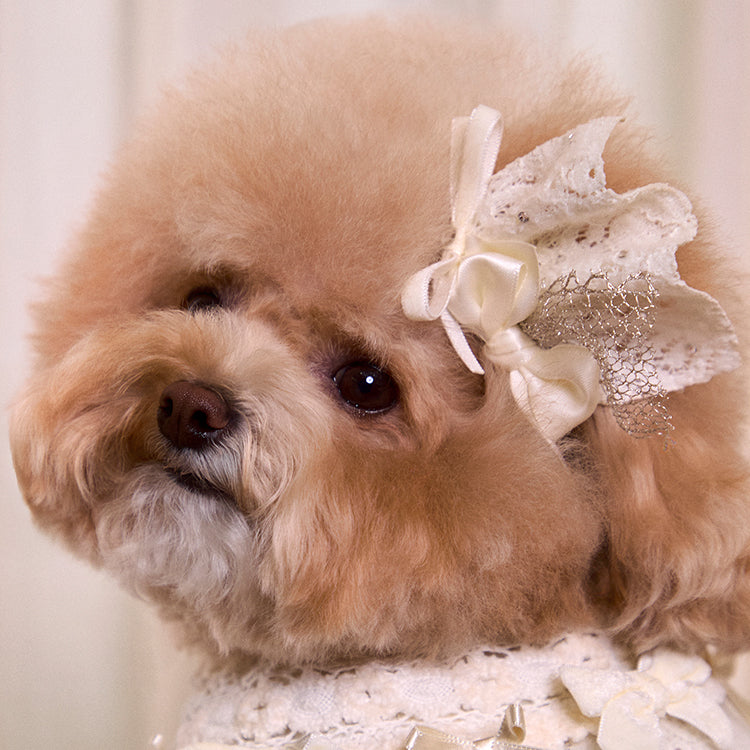 Lace Garden Hairpin 全3色