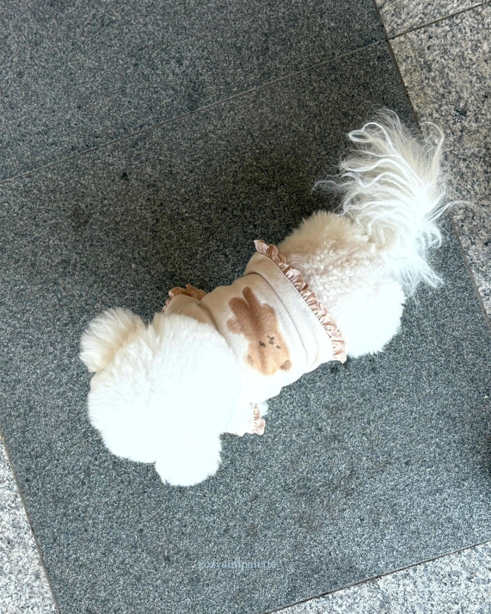 即納 Bear Friend Highneck Top 全4色