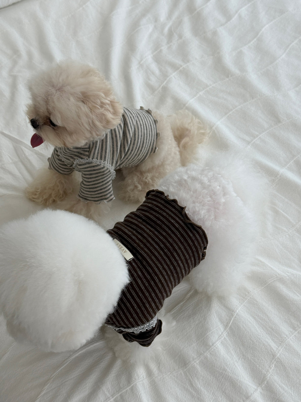【PRE-ORDER】Wool Stripe Top 全2色