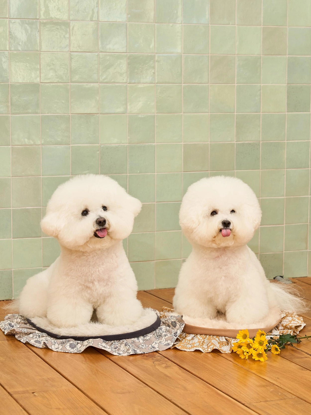 即納 Soft Fur Blanket 全4色