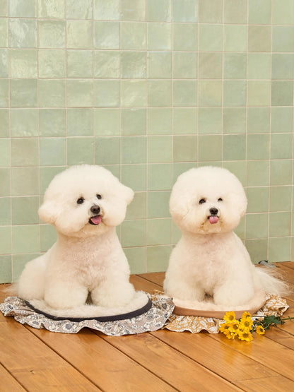 即納 Soft Fur Blanket 全4色