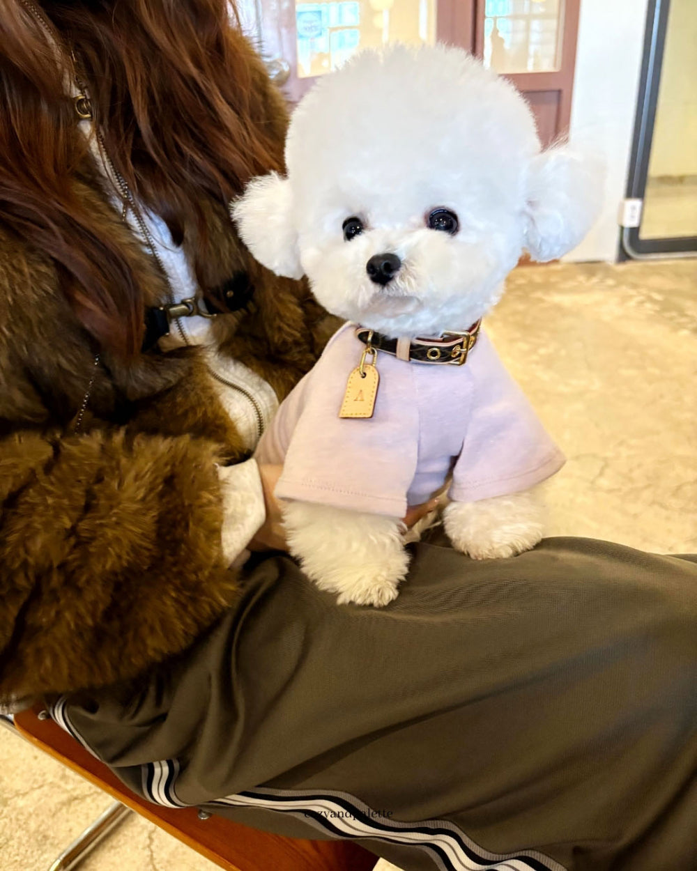 即納 Bear Friend Highneck Top 全4色