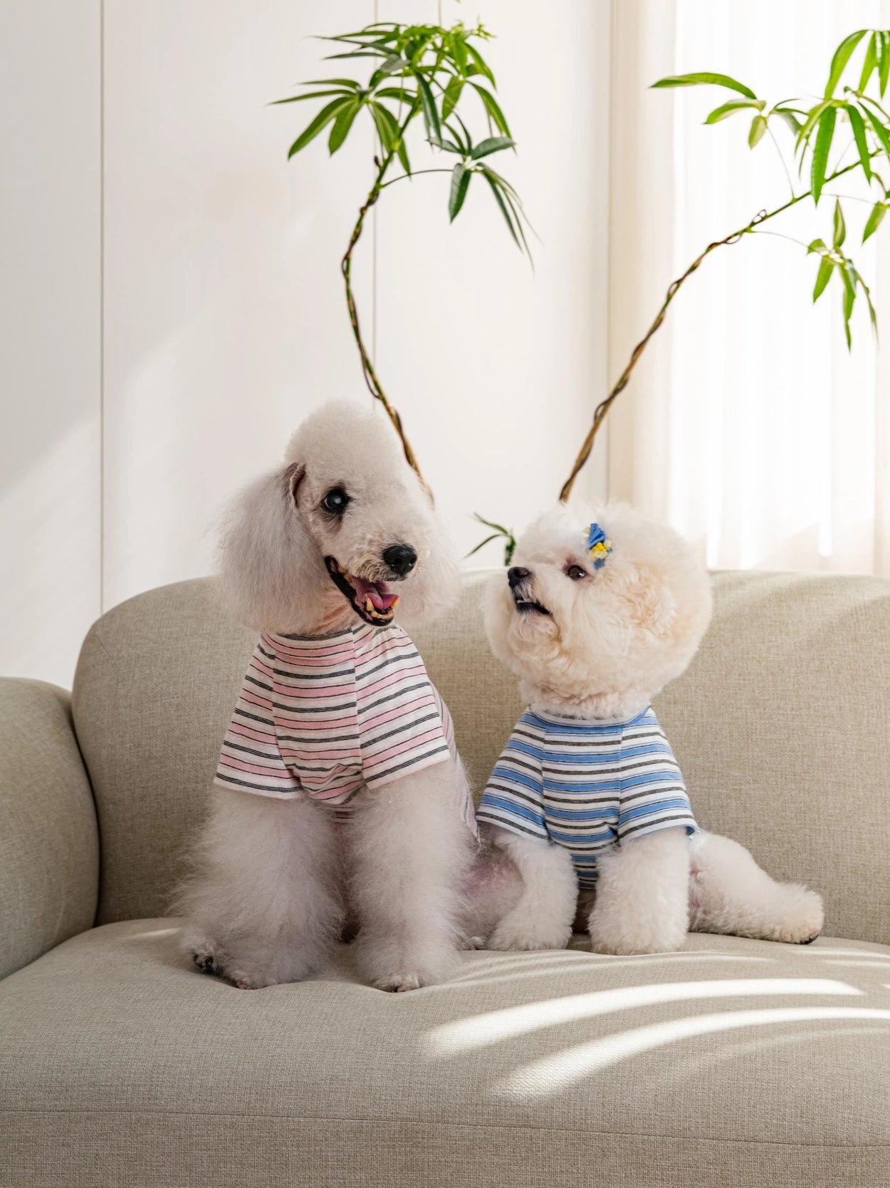 即納 Enjoy Wave T-Shirt 全3色
