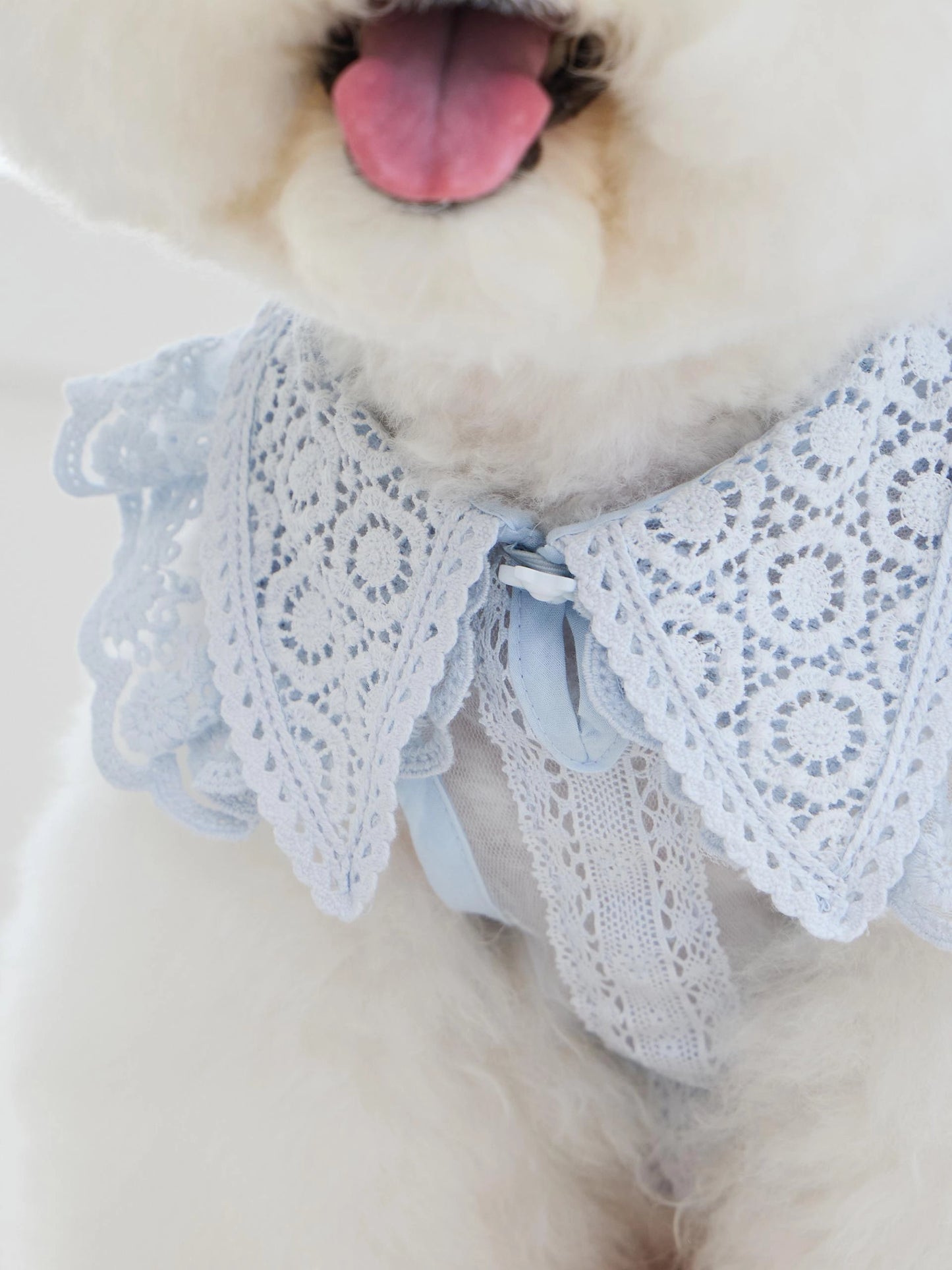 Sweetie Bebe Dress 全3色