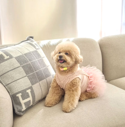 Loving Collar パステルピンク