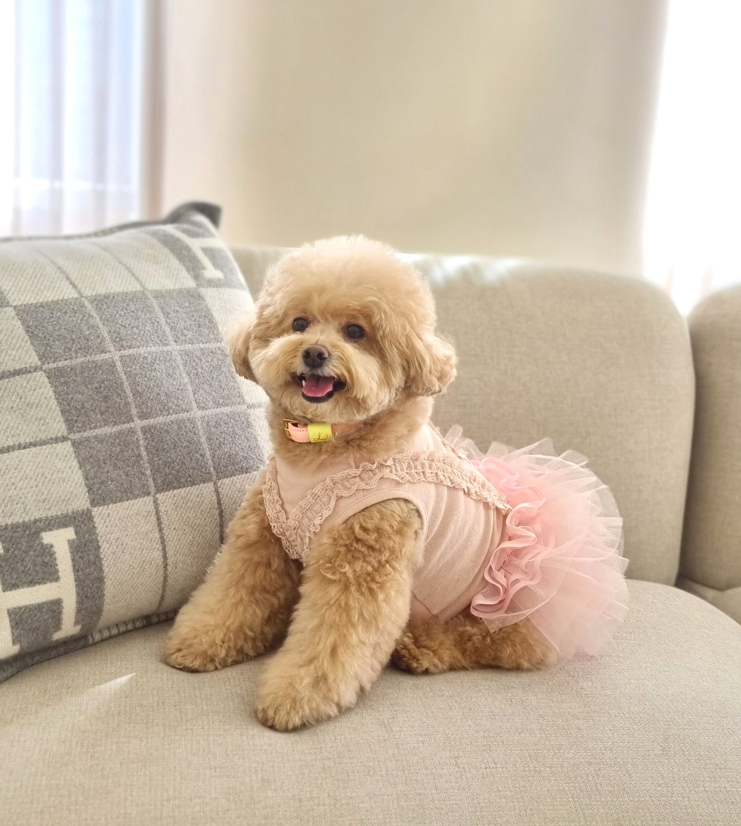 Loving Collar パステルピンク