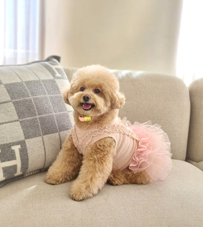 Loving Collar パステルピンク