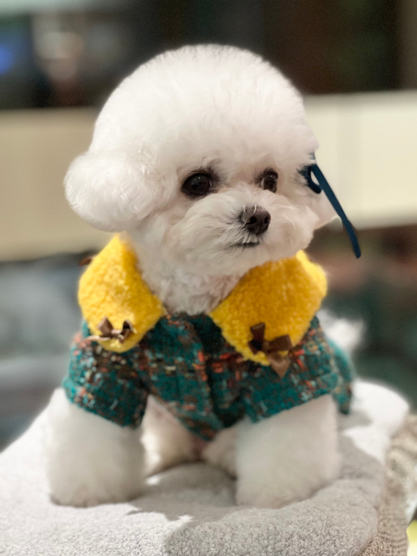 即納 MoaZel Tweed 全3色