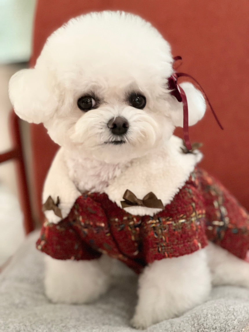 即納 MoaZel Tweed 全3色