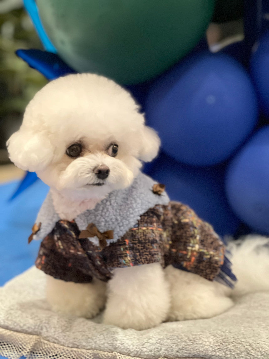 即納 MoaZel Tweed 全3色