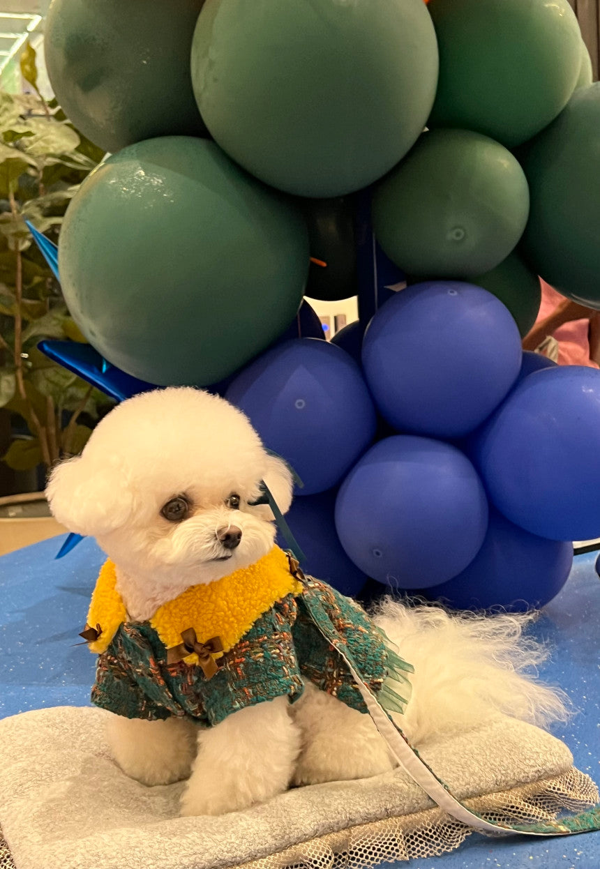 即納 MoaZel Tweed 全3色