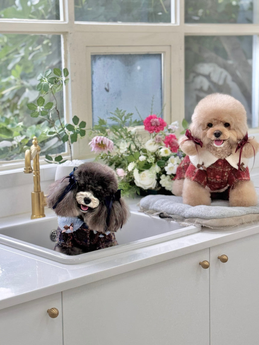 即納 MoaZel Tweed 全3色