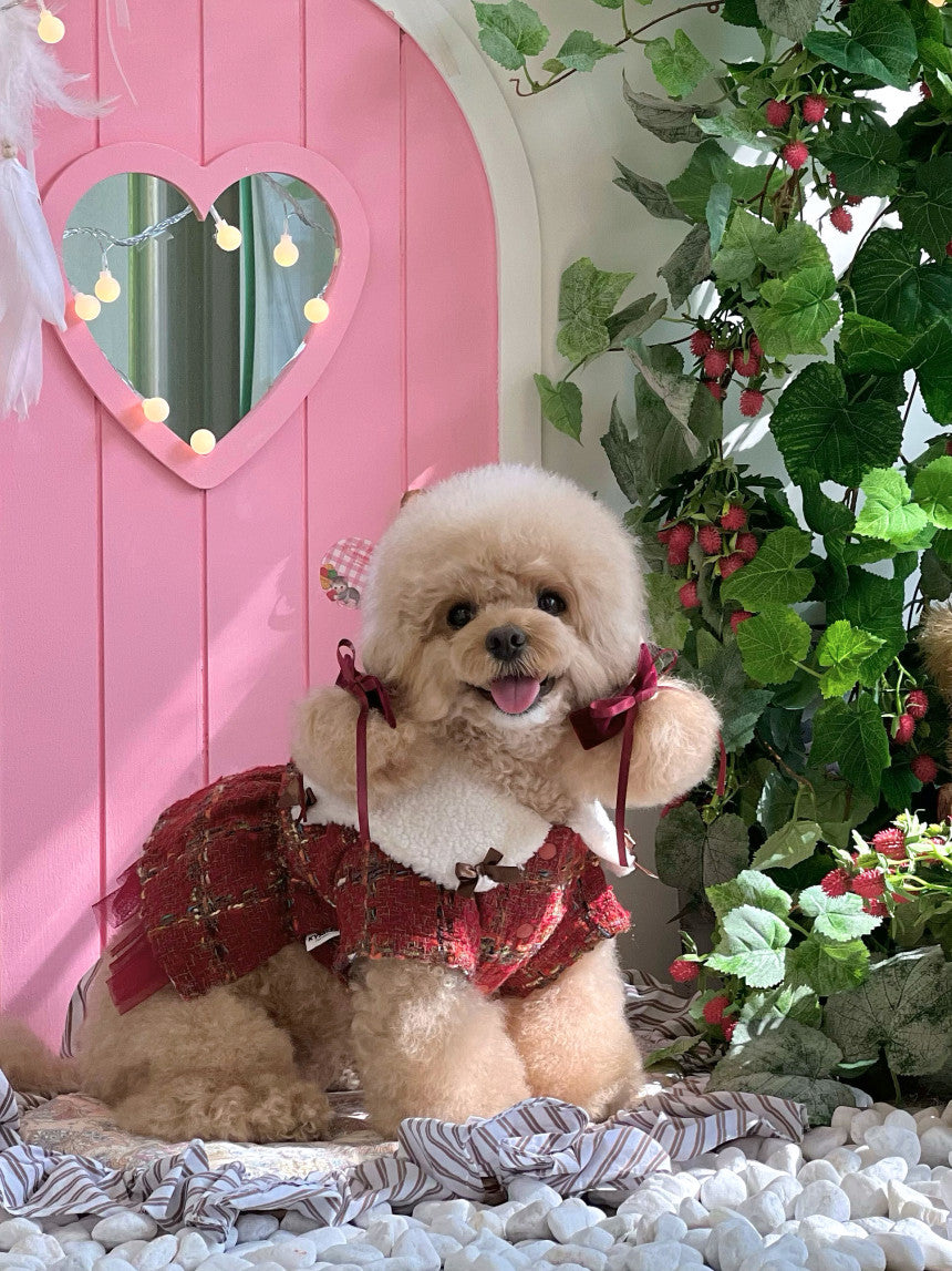 即納 MoaZel Tweed 全3色