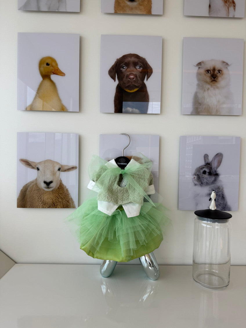 The Tutu Dress 全2色