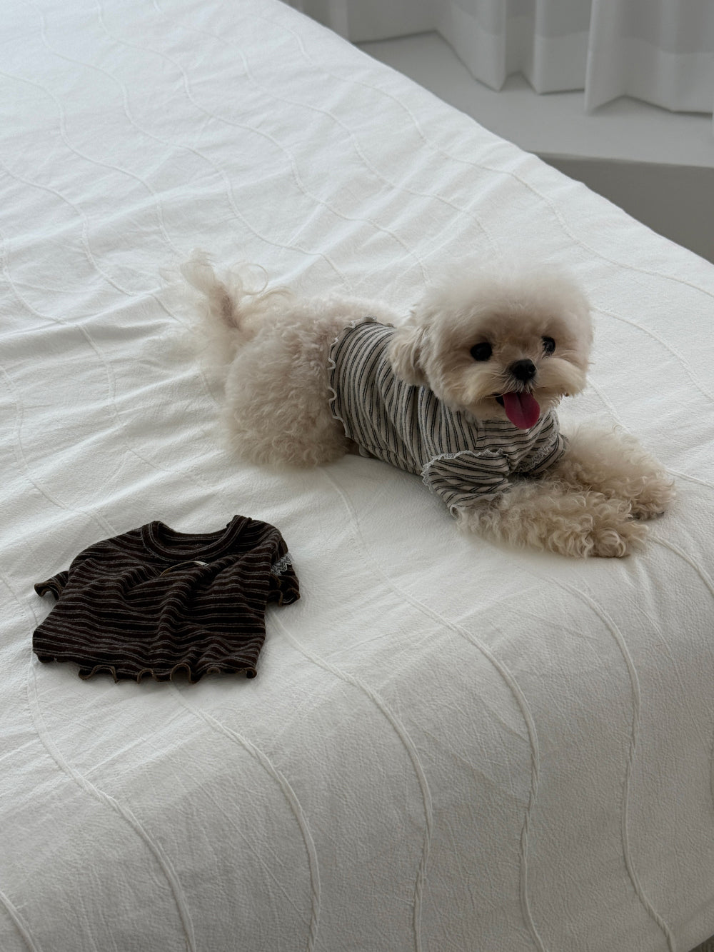 【PRE-ORDER】Wool Stripe Top 全2色