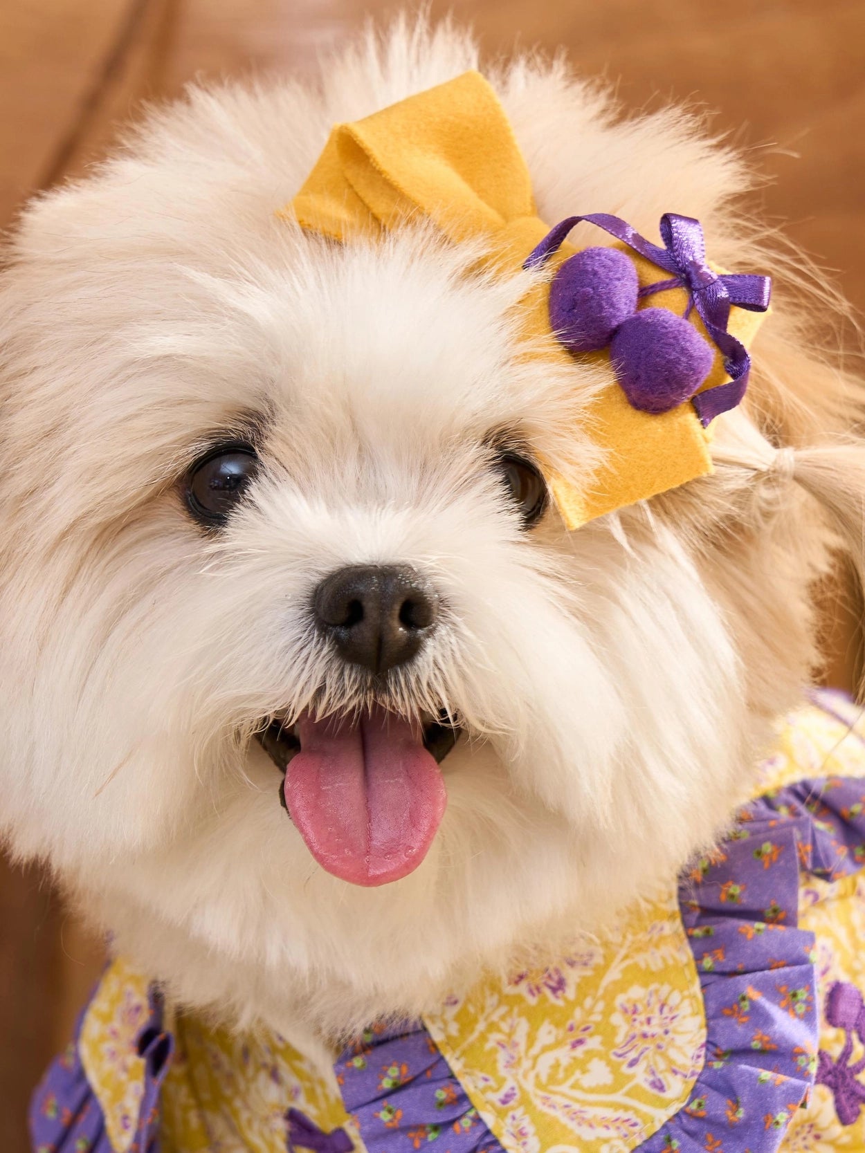 即納 Cherry Bongbong Hairpin 全3色