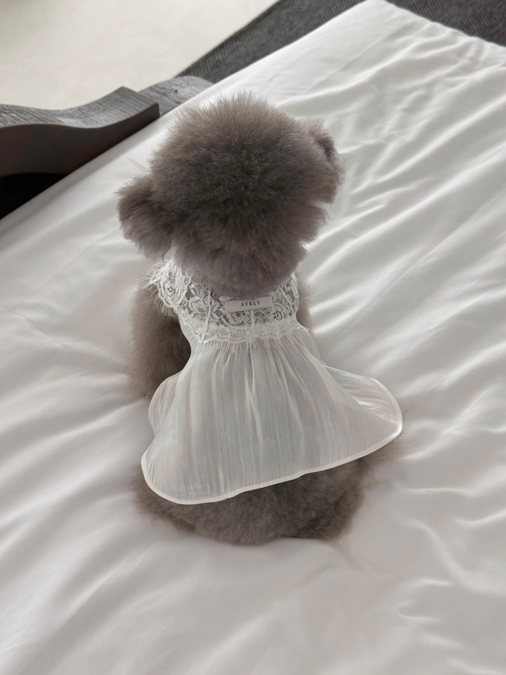 【PRE-ORDER】White Satin Glow Slip