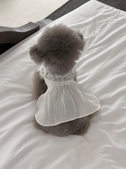 【PRE-ORDER】White Satin Glow Slip