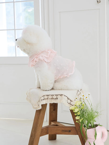 Sweetie Bebe Dress 全3色