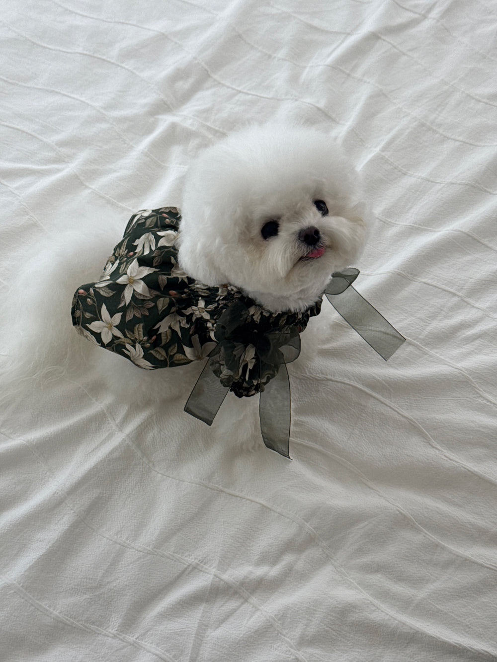 【PRE-ORDER】Liberty Green Dress