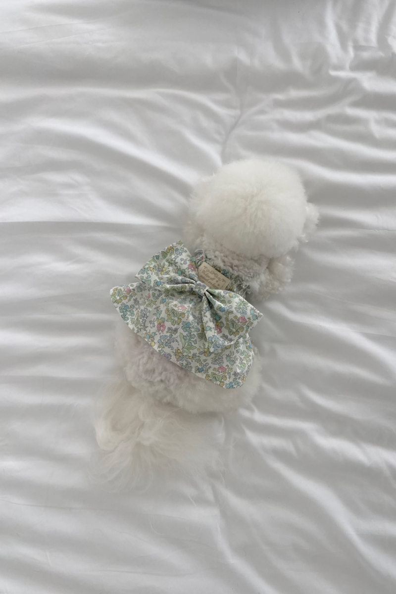 【PRE-ORDER】Liberty Japan My Melody Green Dress