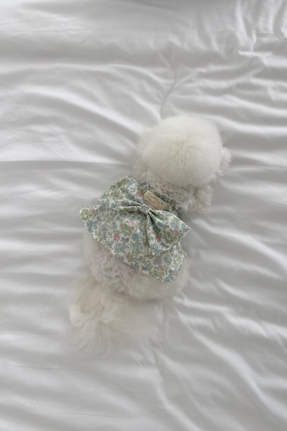 【PRE-ORDER】Liberty Japan My Melody Green Dress