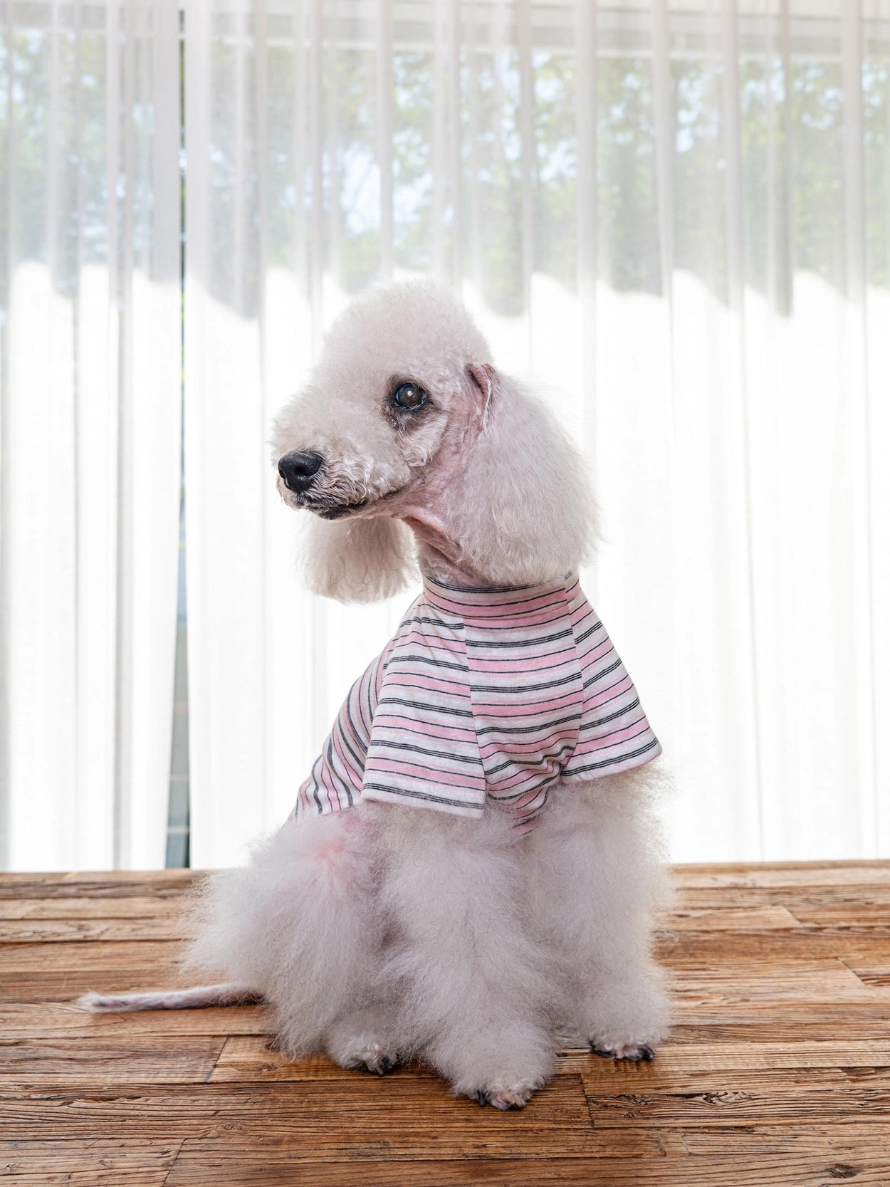 即納 Enjoy Wave T-Shirt 全3色