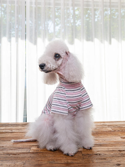 即納 Enjoy Wave T-Shirt 全3色
