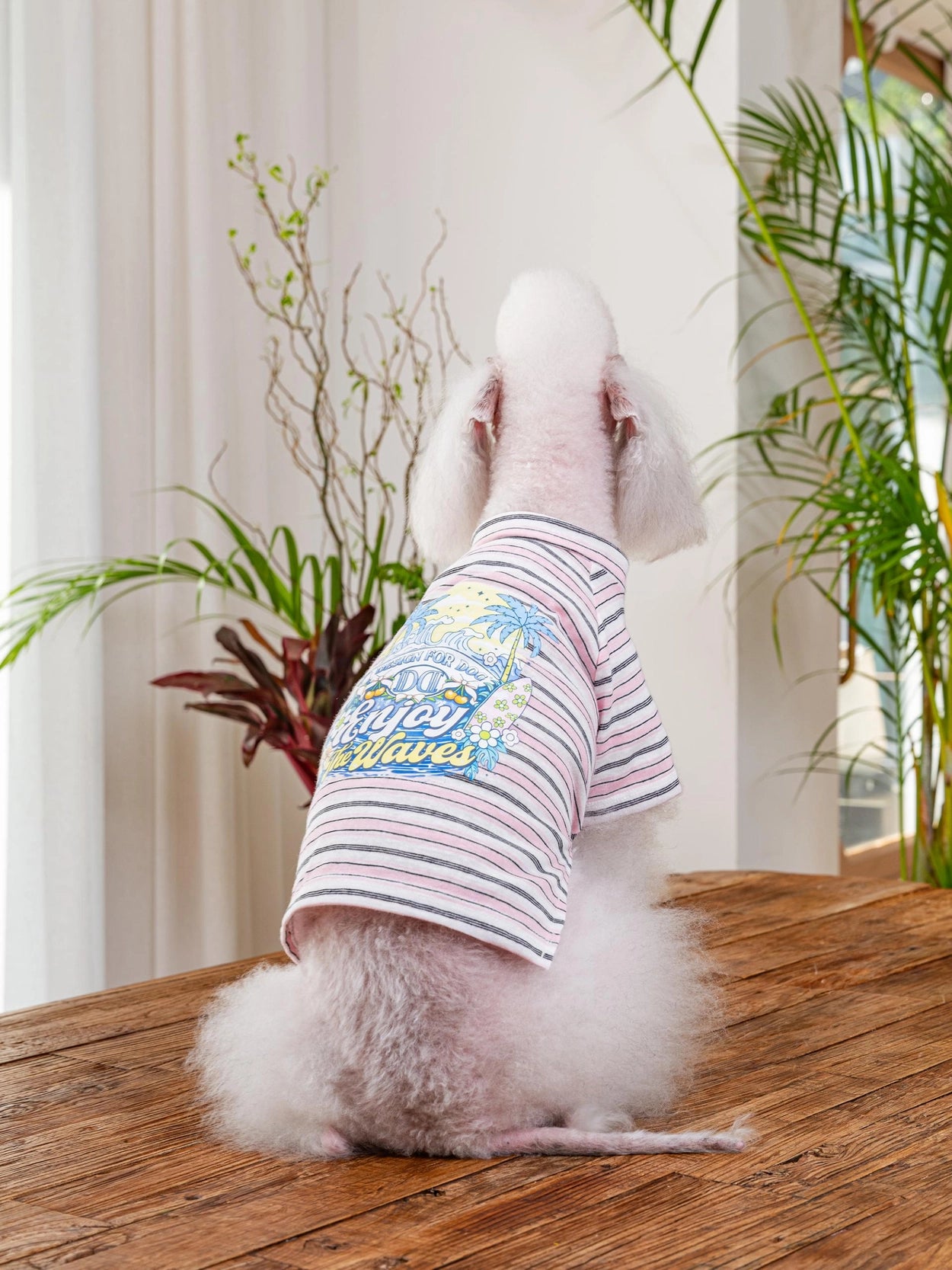 即納 Enjoy Wave T-Shirt 全3色