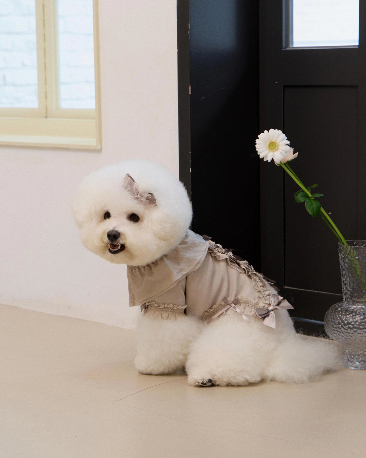 Plié Belle Blouse 全3色