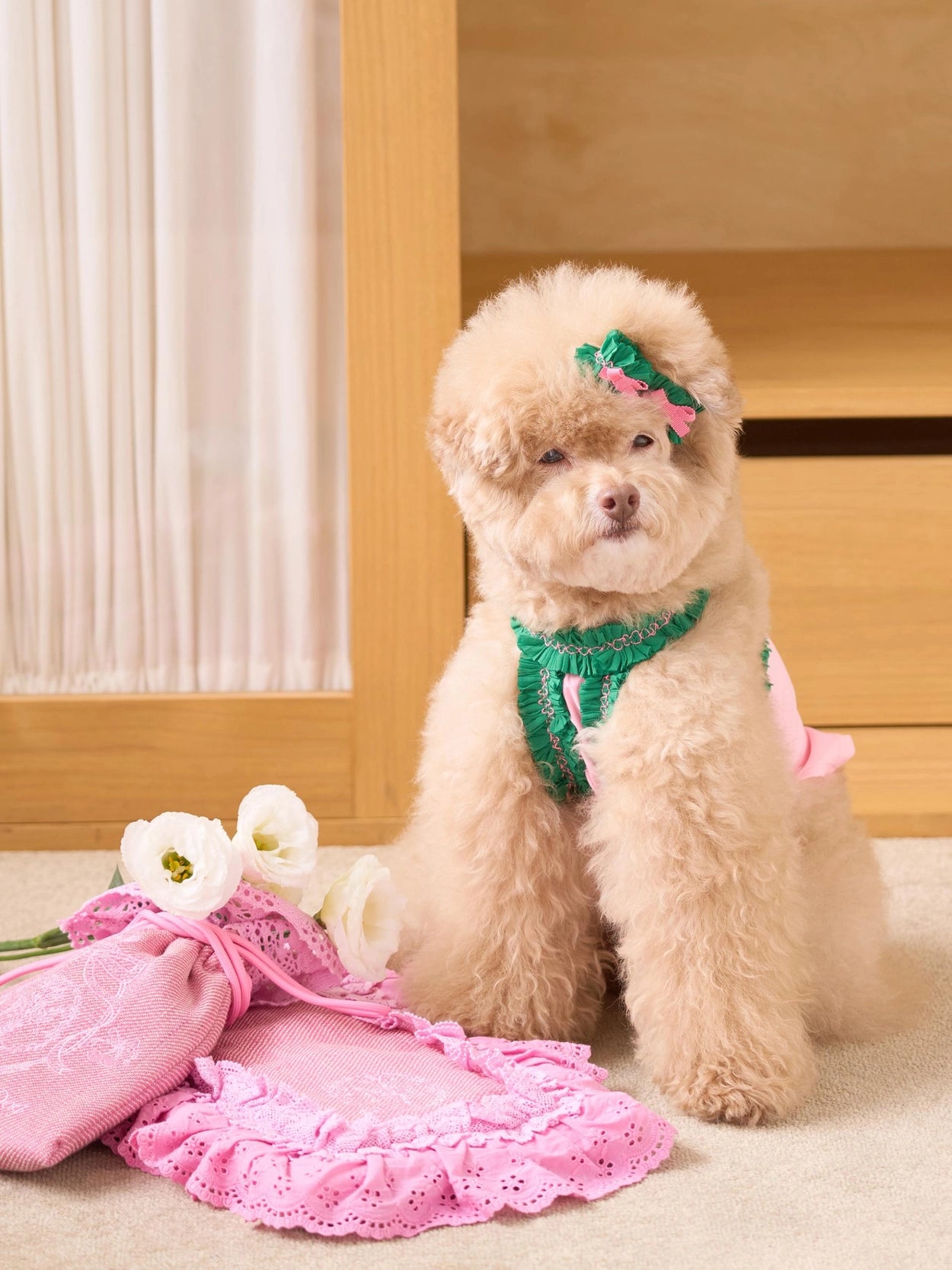 即納 DD Ice Pouch 全4色