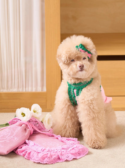 即納 DD Ice Pouch 全4色